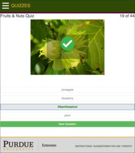 app quiz screen
