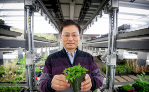Dr. Jian-Kang Zhu holds a plant in the lab