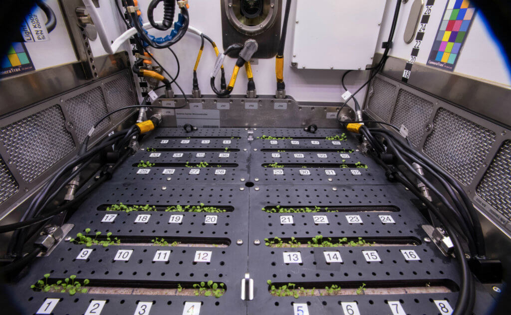 Scientists on a previous mission use the Advanced Plant Habitat for experiments on the International Space Station. (Photo courtesy of NASA)