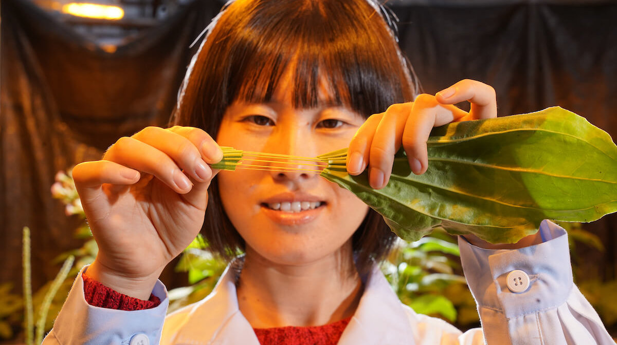Jing Huang with plant