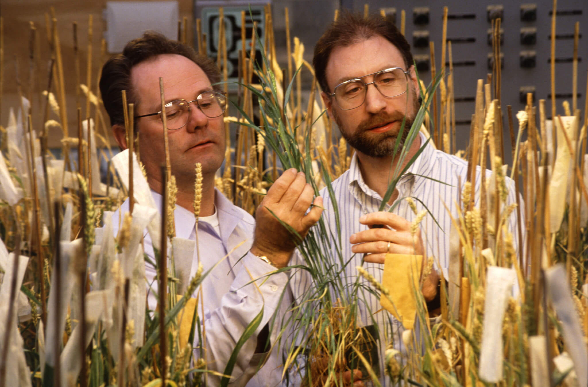Herbert Ohm and Joe Anderson in 1998.