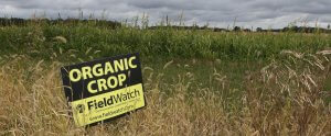 Organic sign field