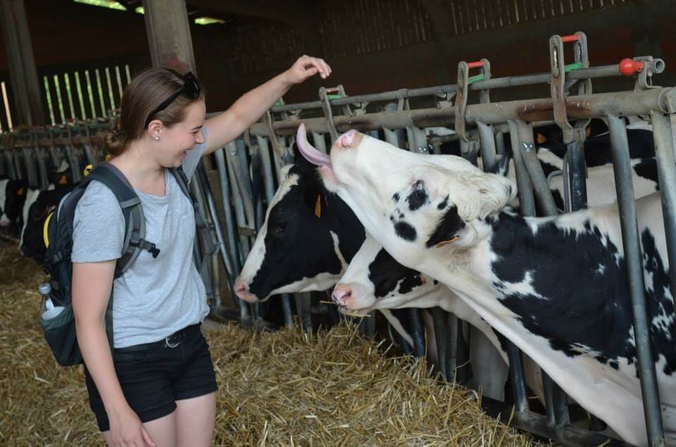 Mary Schneider with cow