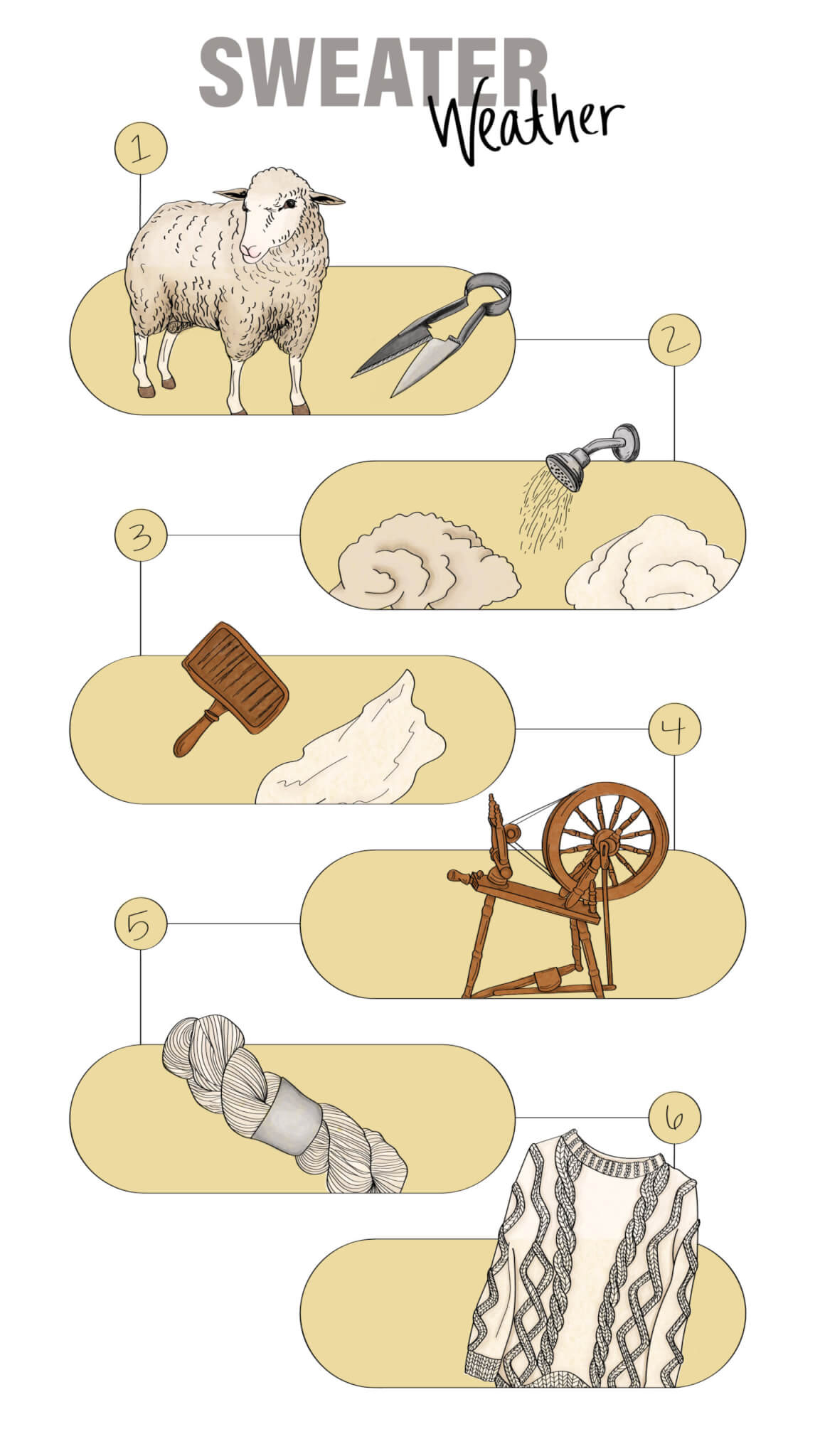 This graphic depicts all the stages hand spinners and other artisans work through when turning fleeces into yarn or roving, bundles of fiber. First, the fleeces are sheared then washed and dried. The wool is then carded, brushing to clean, untangle and integrate the fibers. The wool can then be spun into yarn. 