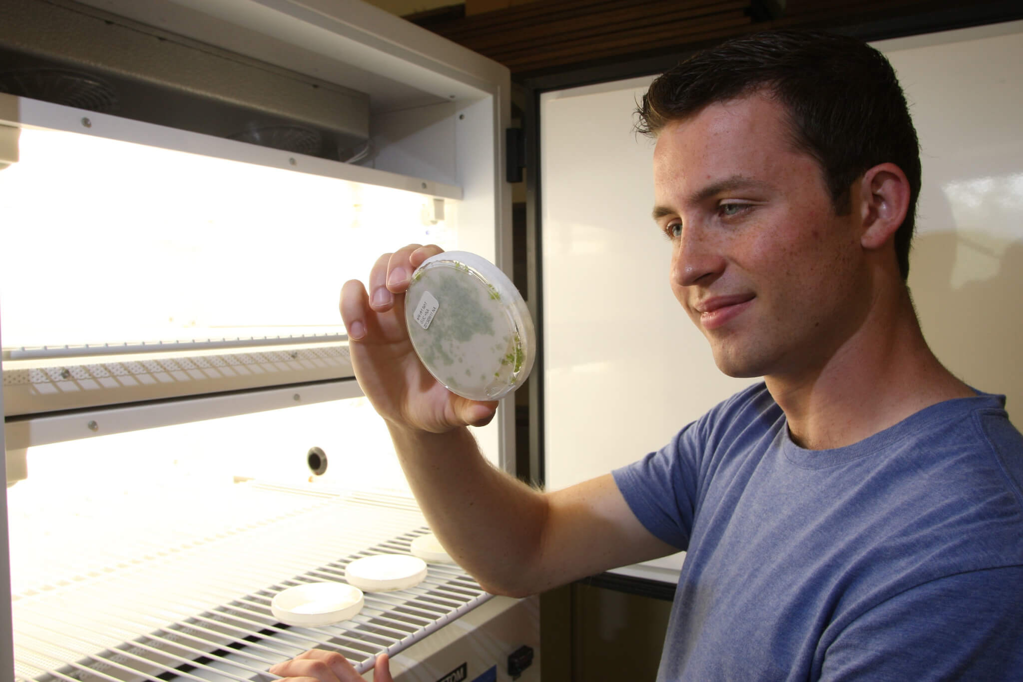Cole Wunderlich (seen here in 2013) joined Clint Chapple's lab as an undergraduate student in 2012. His programming work helped develop a method for identifying matebolites in plants. (Purdue College of Agriculture photo)