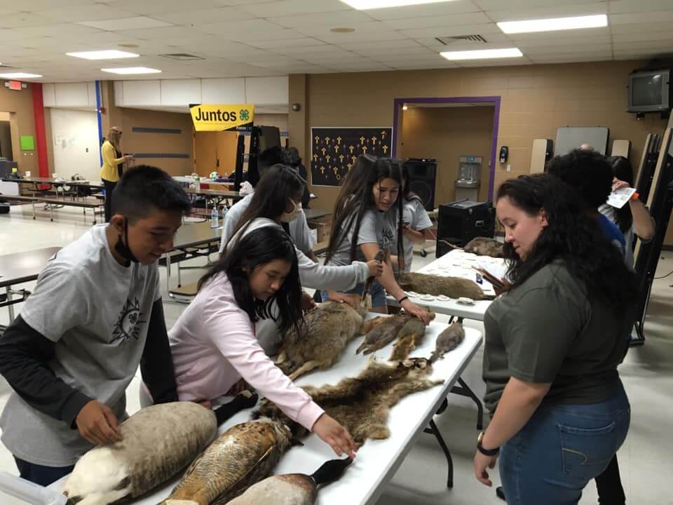 Learning about wildlife through a Juntos program.