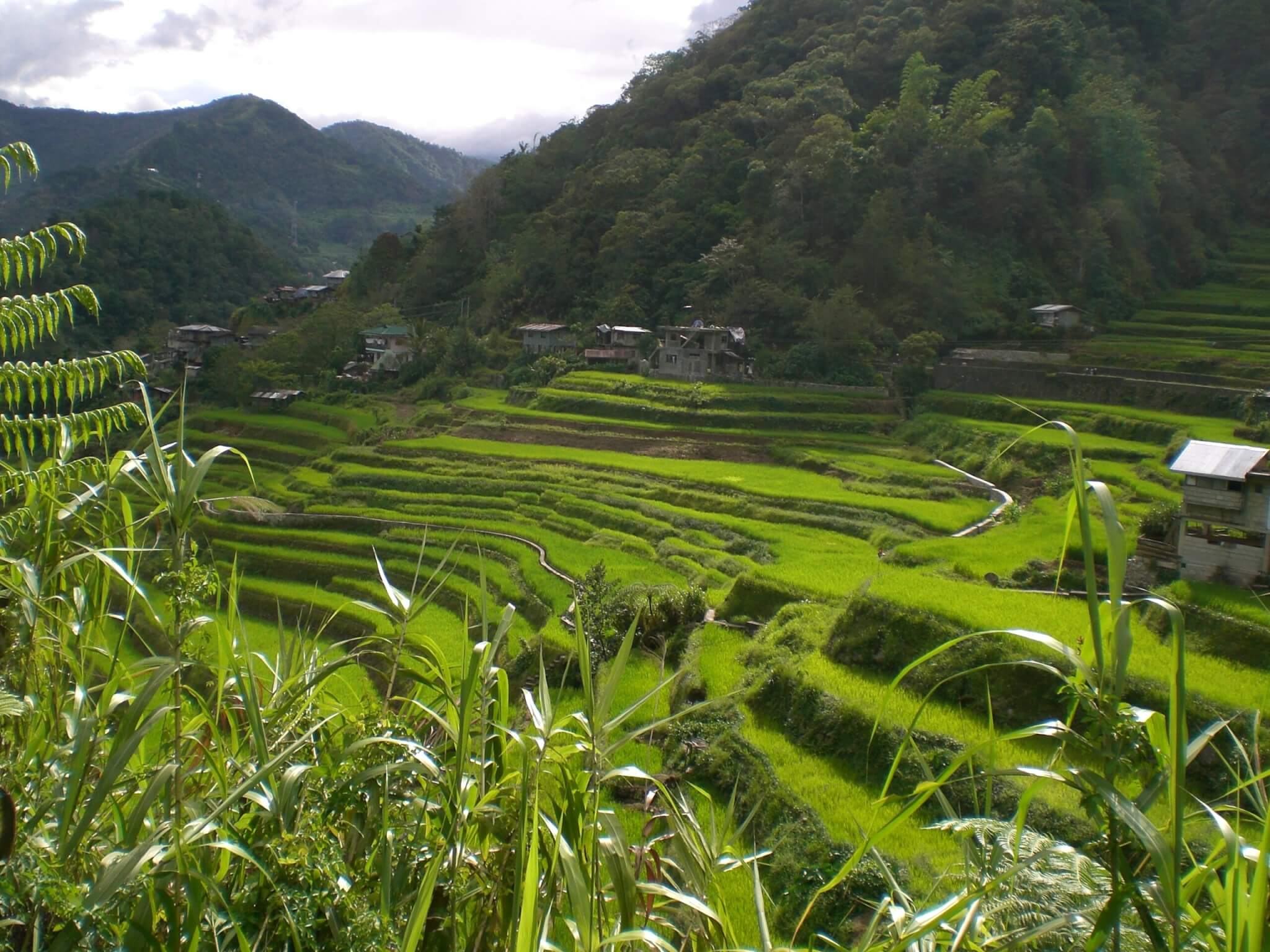 Banaue rice terraces in Ifugao, Philippines.