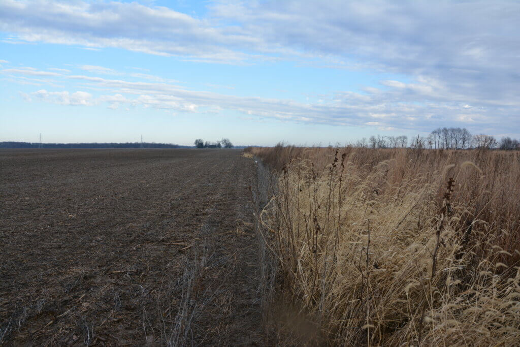 o A Conservation Reserve Program field adjacent to a crop field in northwest Indiana that was planted to native grasses and wildflowers to provide habitat for pheasants, pollinators, and other wildlife
