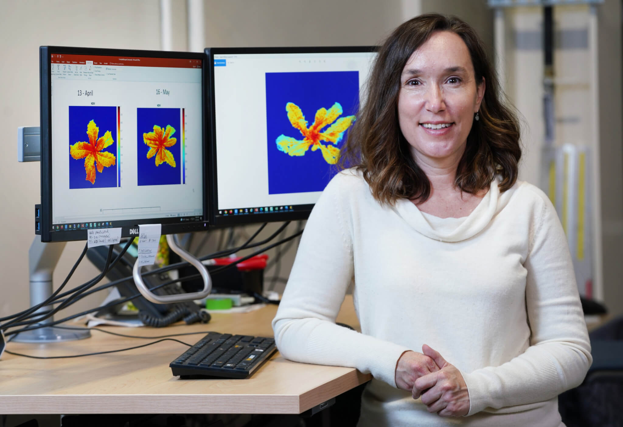 Lori Hoagland, professor of horticulture and landscape architecture at Purdue University, used advanced hyperspectral imaging to detect toxic metal stress in basil and kale in her work to improve food safety. (Purdue University photo/Tom Campbell)