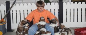 child with puppies