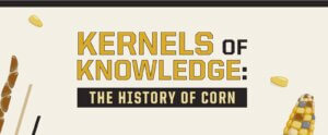 kernels of knowledge featured banner