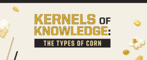 kernels of knowledge: the types of corn