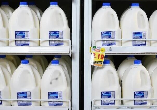 1600 Milk