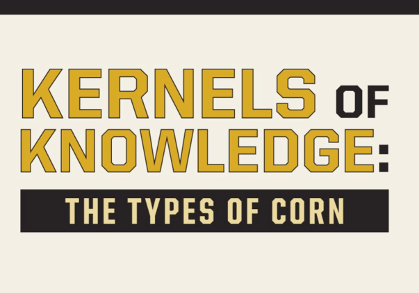 kernels of knowledge: the types of corn