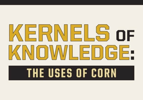 kernels of knowledge: uses of corn banner