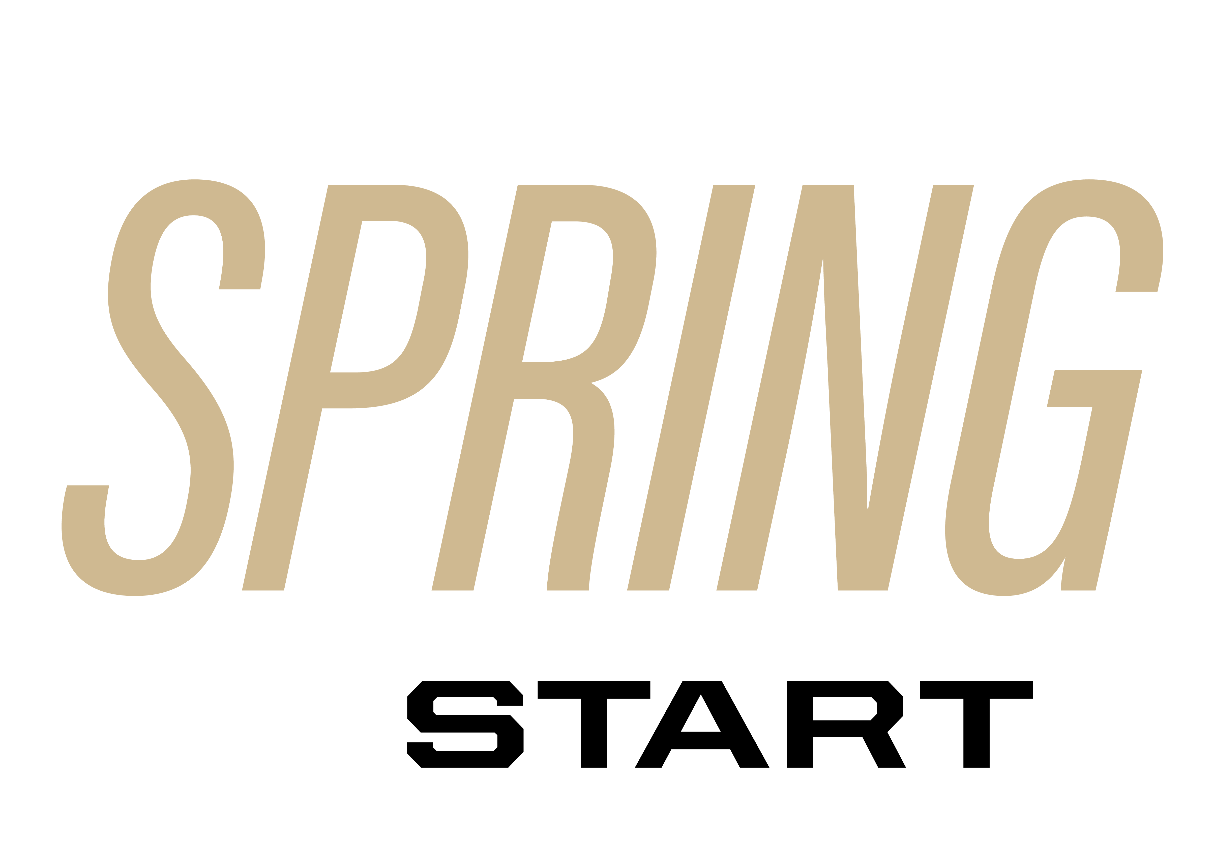 Spring Start Logo