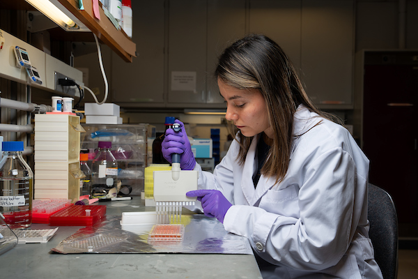 Researcher working in the lab