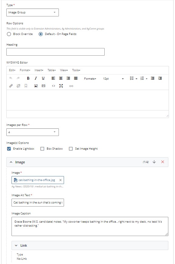 screen capture of image group block form